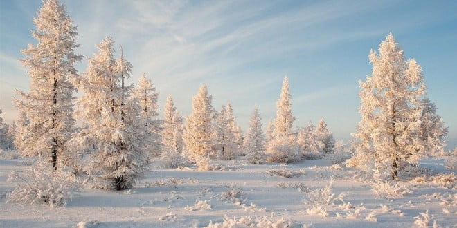 Лунный календарь стрижек волос на январь 2019 года картинки Лунный календарь стрижек волос на январь 2019 года картинки